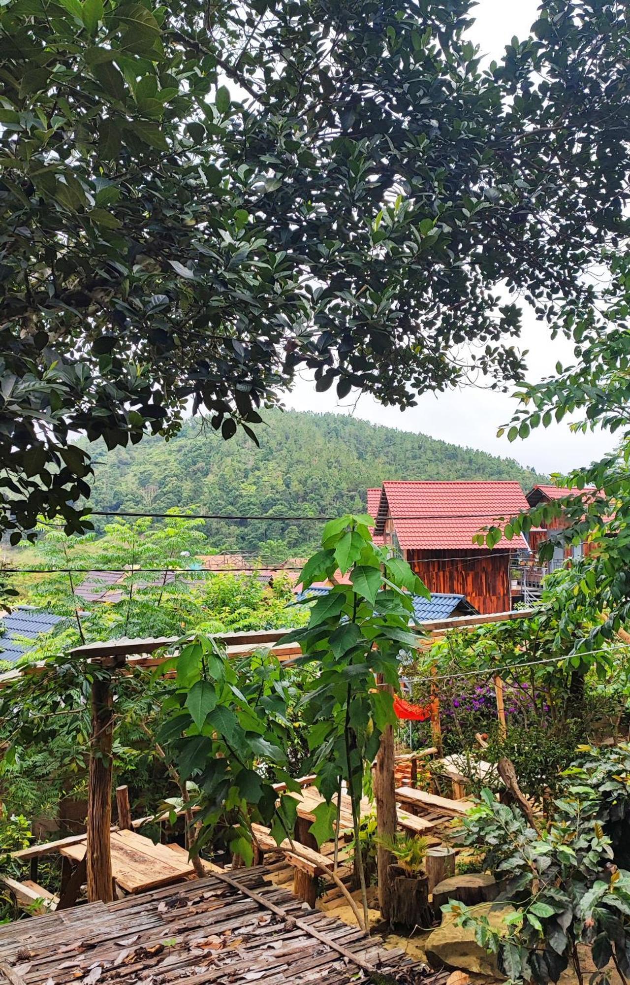 Tổ Chim Ri Homestay Măng Đen Kon Von Kla Ngoại thất bức ảnh